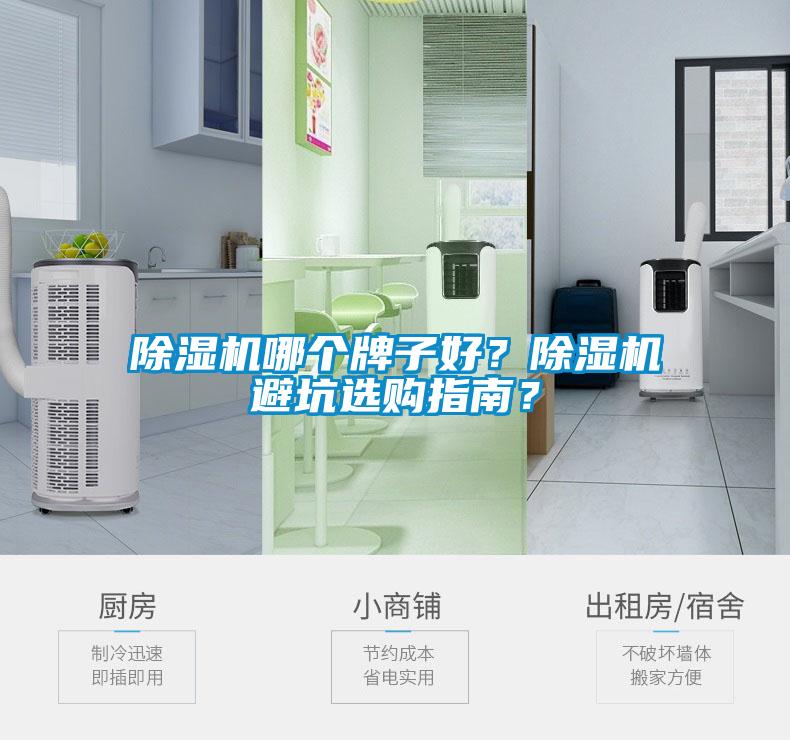 除濕機(jī)哪個(gè)牌子好？除濕機(jī)避坑選購(gòu)指南？
