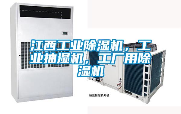 江西工業(yè)除濕機(jī)，工業(yè)抽濕機(jī)，工廠用除濕機(jī)