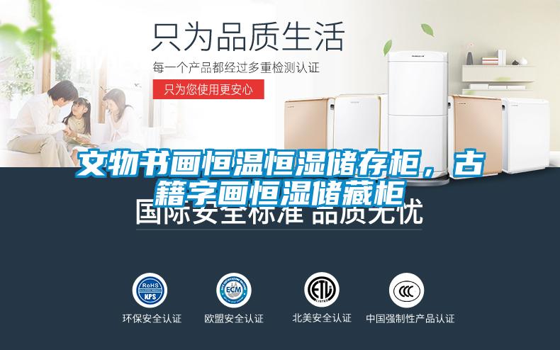文物書畫恒溫恒濕儲存柜，古籍字畫恒濕儲藏柜