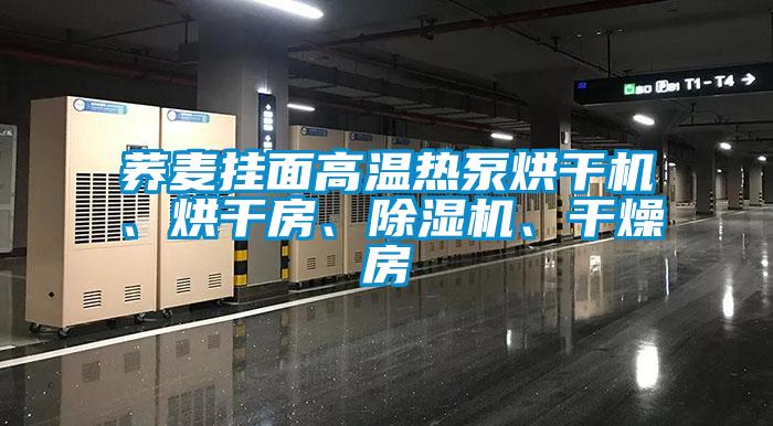 蕎麥掛面高溫?zé)岜煤娓蓹C(jī)、烘干房、除濕機(jī)、干燥房