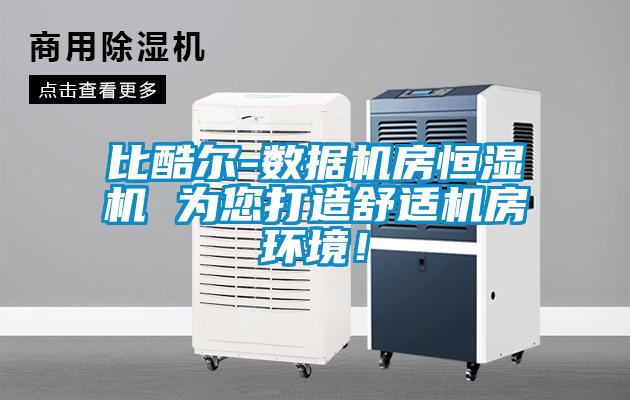 比酷爾-數據機房恒濕機 為您打造舒適機房環(huán)境！