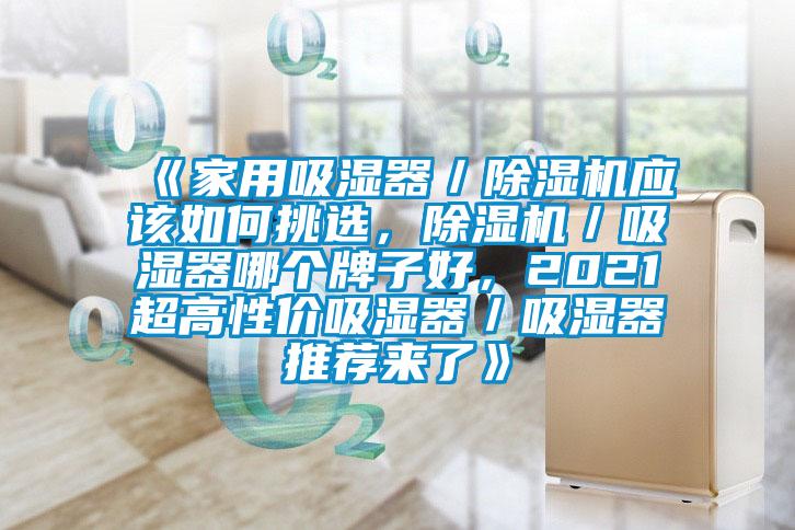 《家用吸濕器／除濕機(jī)應(yīng)該如何挑選，除濕機(jī)／吸濕器哪個(gè)牌子好，2021超高性價(jià)吸濕器／吸濕器推薦來(lái)了》