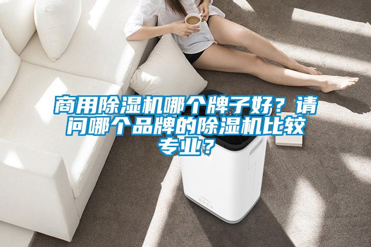 商用除濕機哪個牌子好？請問哪個品牌的除濕機比較專業(yè)？