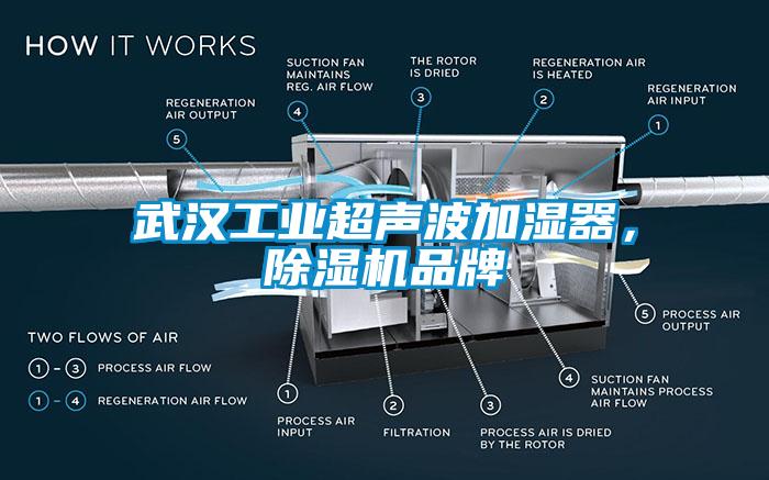 武漢工業(yè)超聲波加濕器，除濕機(jī)品牌