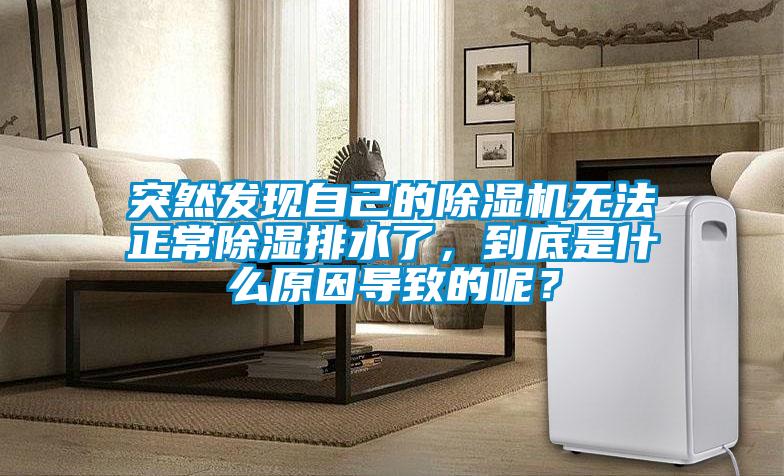 突然發(fā)現(xiàn)自己的除濕機(jī)無法正常除濕排水了，到底是什么原因?qū)е碌哪兀?/></p>
						    <p style=