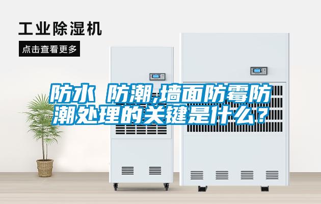 防水≠防潮,墻面防霉防潮處理的關(guān)鍵是什么？