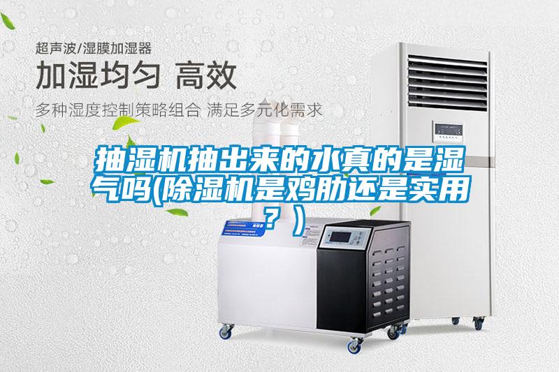 抽濕機抽出來的水真的是濕氣嗎(除濕機是雞肋還是實用？)