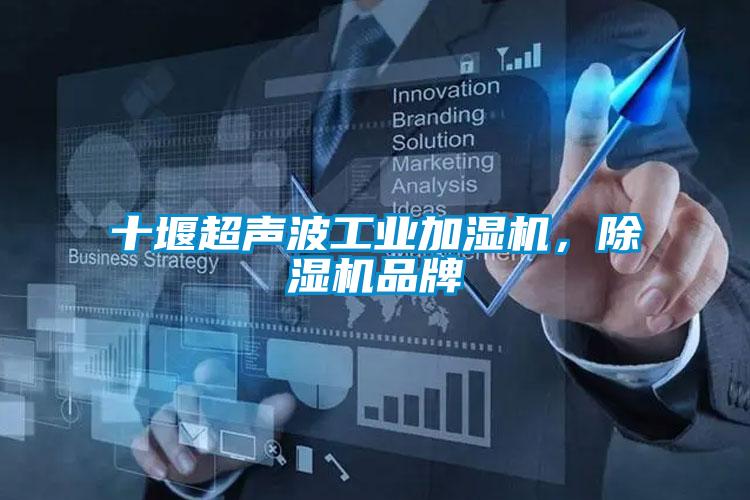 十堰超聲波工業(yè)加濕機(jī)，除濕機(jī)品牌