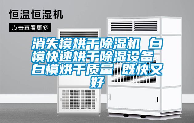 消失模烘干除濕機(jī) 白?？焖俸娓沙凉裨O(shè)備 白模烘干質(zhì)量 既快又好