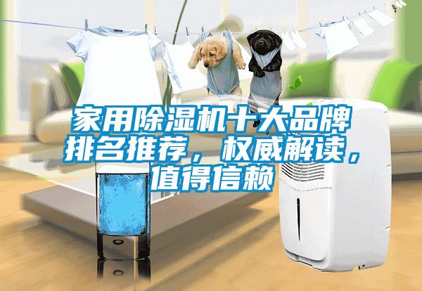 家用除濕機十大品牌排名推薦，權(quán)威解讀，值得信賴