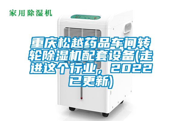 重慶松越藥品車間轉輪除濕機配套設備(走進這個行業(yè)，2022已更新)
