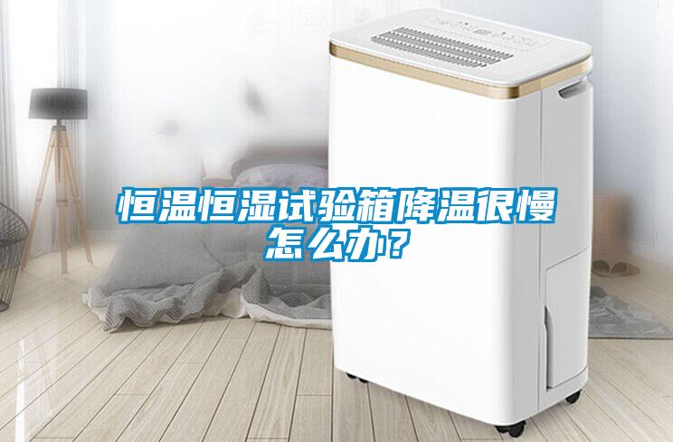 恒溫恒濕試驗箱降溫很慢怎么辦？