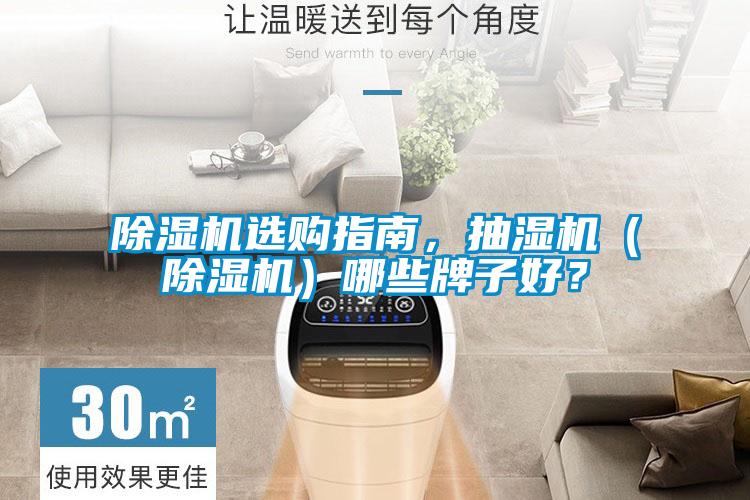 除濕機(jī)選購指南，抽濕機(jī)（除濕機(jī)）哪些牌子好？