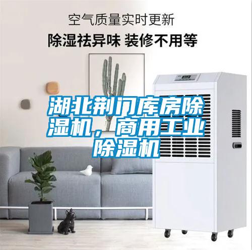 湖北荊門庫(kù)房除濕機(jī)，商用工業(yè)除濕機(jī)