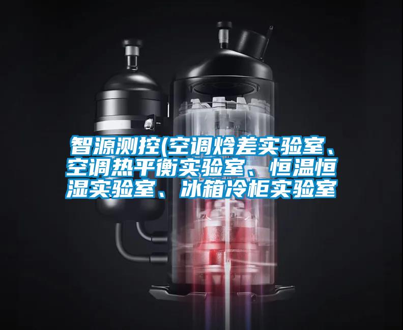 智源測(cè)控(空調(diào)焓差實(shí)驗(yàn)室、空調(diào)熱平衡實(shí)驗(yàn)室、恒溫恒濕實(shí)驗(yàn)室、冰箱冷柜實(shí)驗(yàn)室