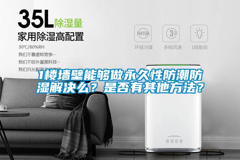 1樓墻壁能夠做永久性防潮防濕解決么？是否有其他方法？