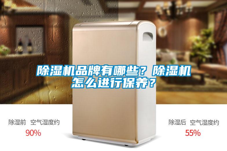 除濕機(jī)品牌有哪些？除濕機(jī)怎么進(jìn)行保養(yǎng)？
