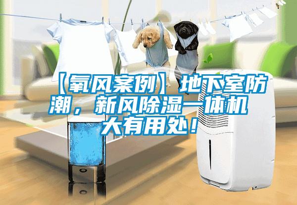【氧風案例】地下室防潮，新風除濕一體機大有用處！