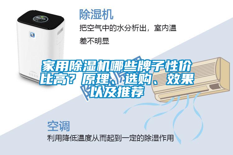 家用除濕機(jī)哪些牌子性價(jià)比高？原理、選購、效果以及推薦