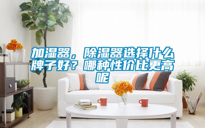 加濕器，除濕器選擇什么牌子好？哪種性價(jià)比更高呢