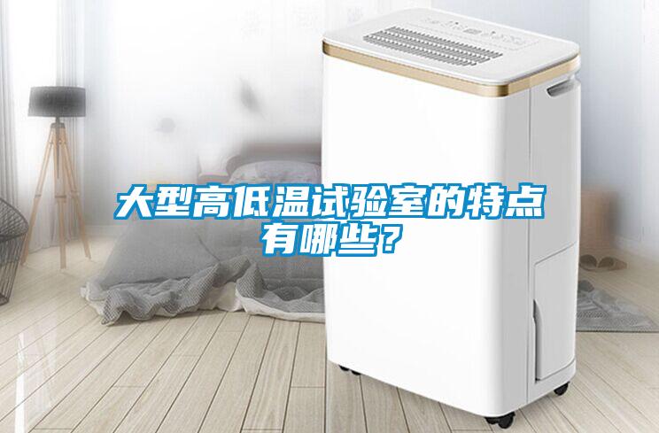 大型高低溫試驗(yàn)室的特點(diǎn)有哪些？