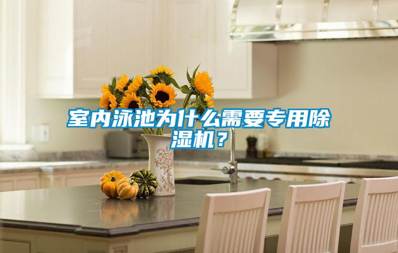 室內(nèi)泳池為什么需要專用除濕機(jī)？