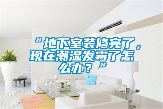 “地下室裝修完了，現(xiàn)在潮濕發(fā)霉了怎么辦？”