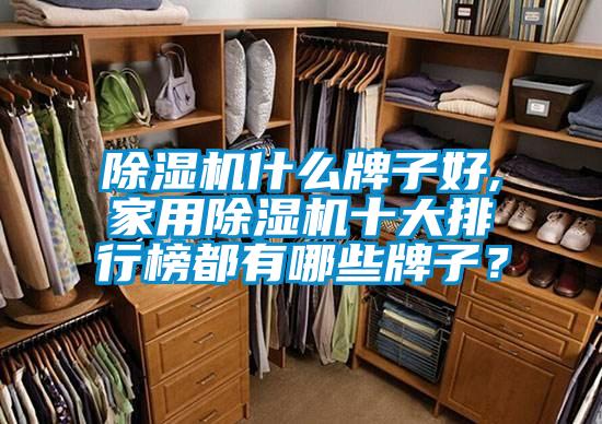 除濕機什么牌子好,家用除濕機十大排行榜都有哪些牌子？