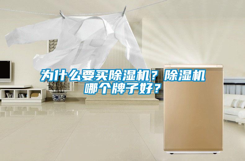 為什么要買除濕機？除濕機哪個牌子好？