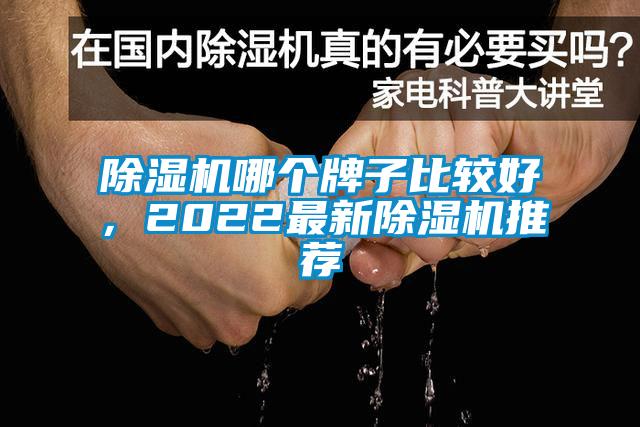 除濕機(jī)哪個牌子比較好，2022最新除濕機(jī)推薦