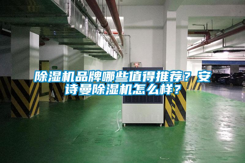 除濕機品牌哪些值得推薦？安詩曼除濕機怎么樣？