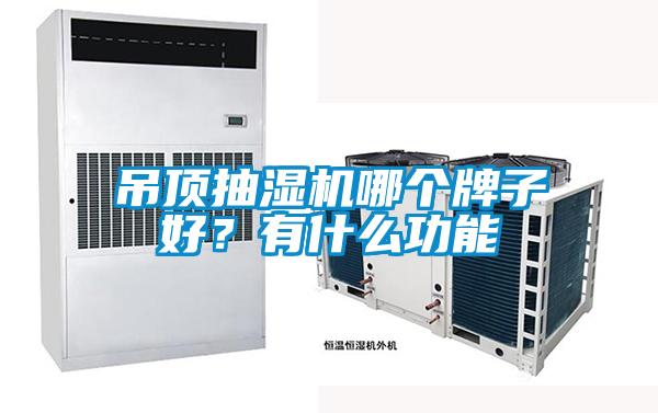 吊頂抽濕機(jī)哪個(gè)牌子好？有什么功能