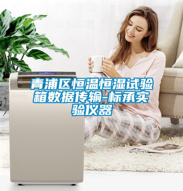 青浦區(qū)恒溫恒濕試驗箱數(shù)據傳輸-標承實驗儀器
