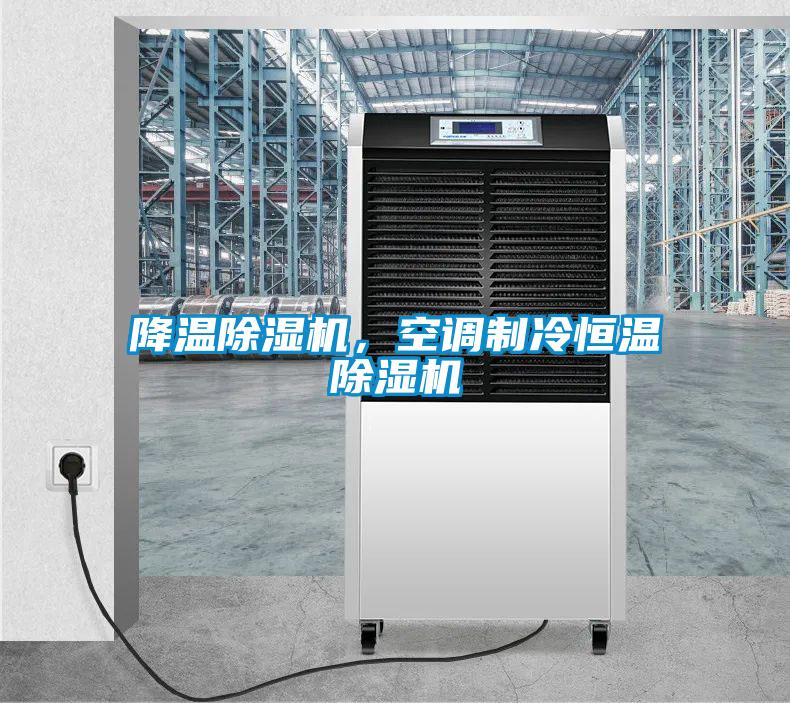降溫除濕機，空調(diào)制冷恒溫除濕機