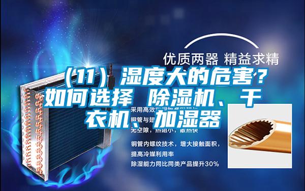（11）濕度大的危害？如何選擇 除濕機(jī)、干衣機(jī)、加濕器