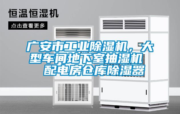 廣安市工業(yè)除濕機(jī)，大型車間地下室抽濕機(jī)  配電房倉(cāng)庫(kù)除濕器
