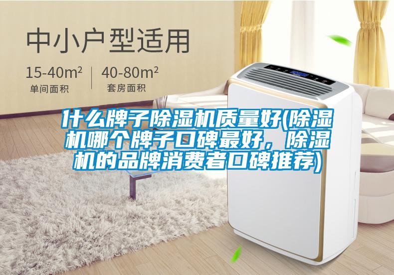 什么牌子除濕機質(zhì)量好(除濕機哪個牌子口碑最好，除濕機的品牌消費者口碑推薦)