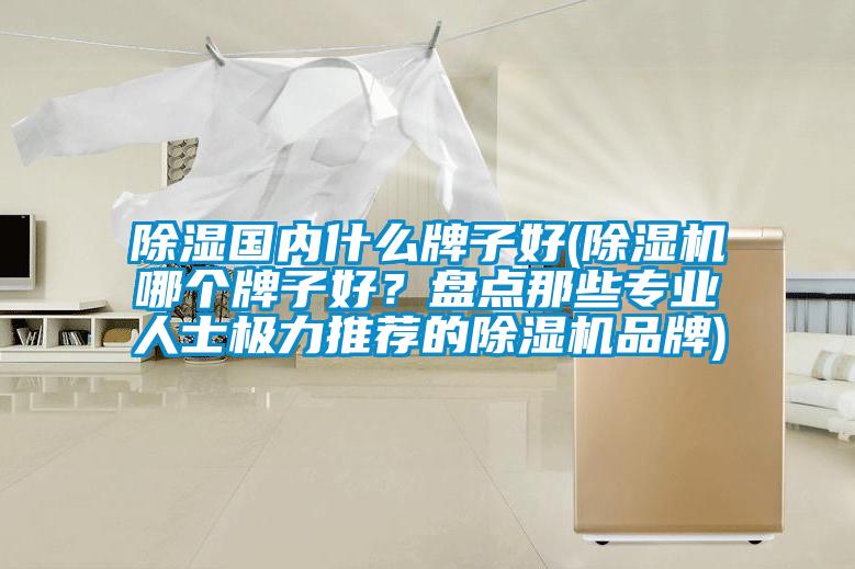 除濕國內(nèi)什么牌子好(除濕機(jī)哪個(gè)牌子好？盤點(diǎn)那些專業(yè)人士極力推薦的除濕機(jī)品牌)