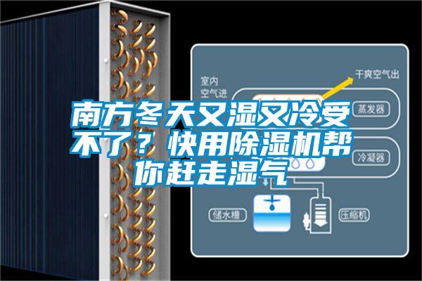 南方冬天又濕又冷受不了？快用除濕機幫你趕走濕氣