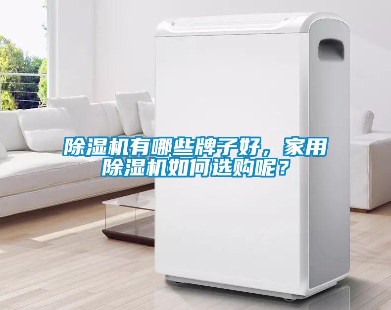 除濕機有哪些牌子好，家用除濕機如何選購呢？