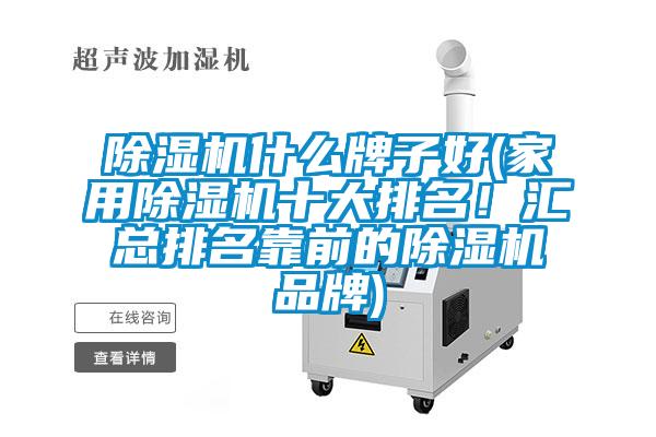 除濕機(jī)什么牌子好(家用除濕機(jī)十大排名！匯總排名靠前的除濕機(jī)品牌)