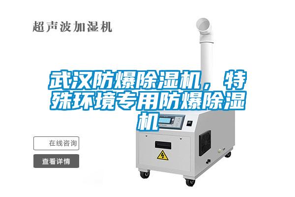 武漢防爆除濕機(jī)，特殊環(huán)境專用防爆除濕機(jī)