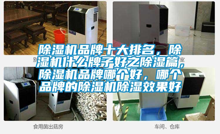 除濕機品牌十大排名，除濕機什么牌子好之除濕篇，除濕機品牌哪個好，哪個品牌的除濕機除濕效果好