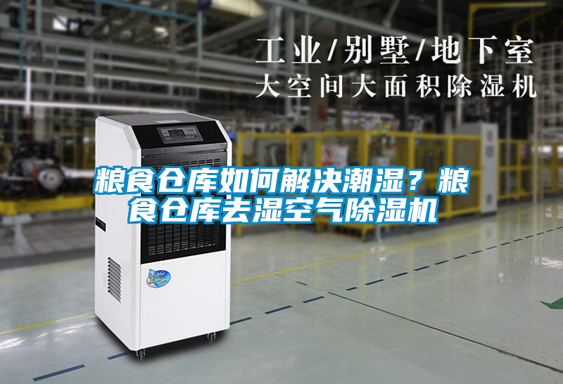 糧食倉庫如何解決潮濕？糧食倉庫去濕空氣除濕機(jī)