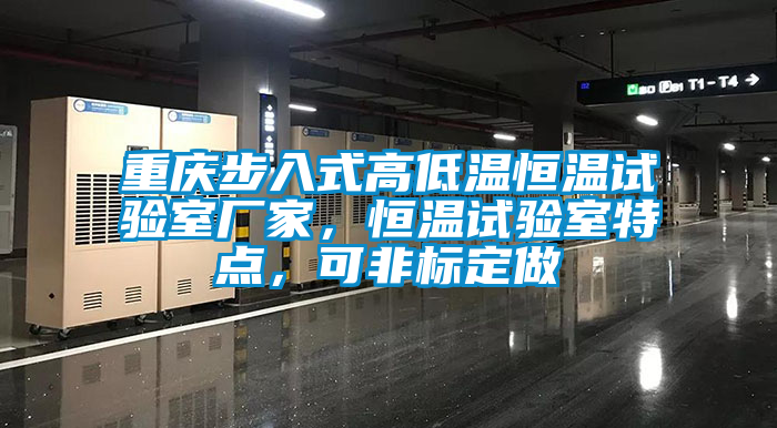 重慶步入式高低溫恒溫試驗室廠家，恒溫試驗室特點，可非標(biāo)定做