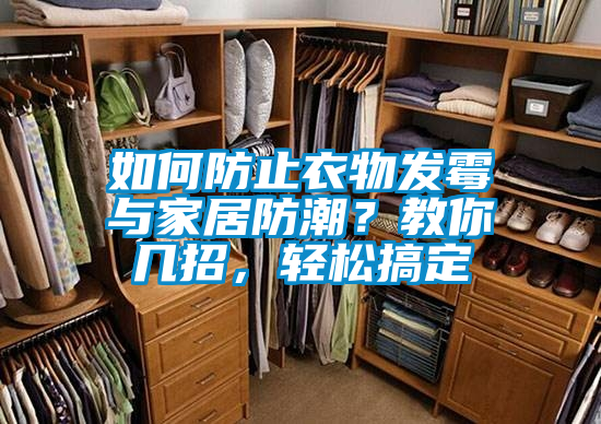 如何防止衣物發(fā)霉與家居防潮？教你幾招，輕松搞定