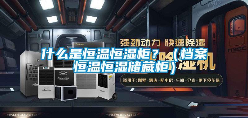 什么是恒溫恒濕柜？（檔案恒溫恒濕儲(chǔ)藏柜）