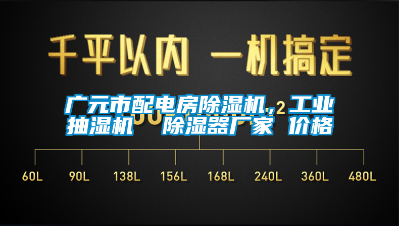 廣元市配電房除濕機(jī)，工業(yè)抽濕機(jī)  除濕器廠家 價(jià)格