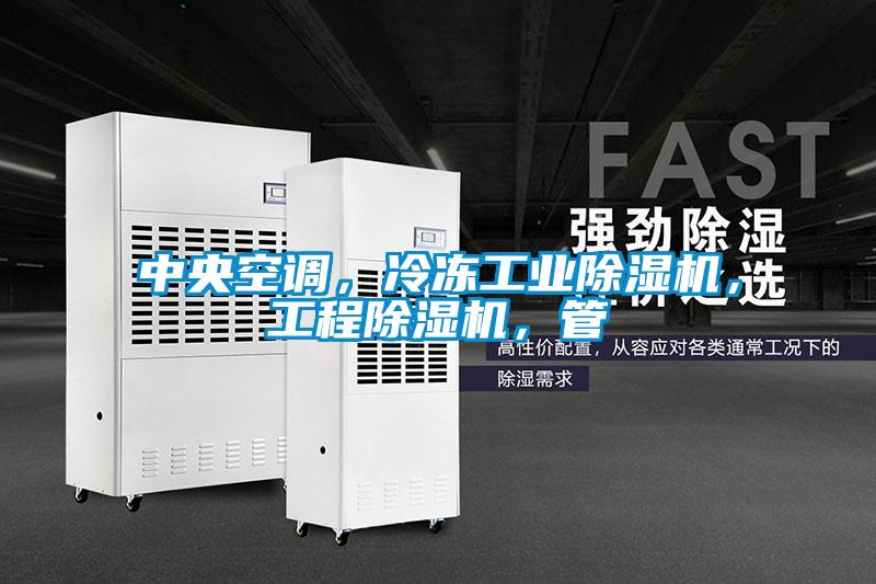 中央空調(diào)，冷凍工業(yè)除濕機(jī)，工程除濕機(jī)，管