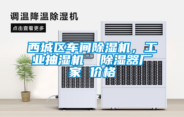 西城區(qū)車間除濕機(jī)，工業(yè)抽濕機(jī)  除濕器廠家 價(jià)格